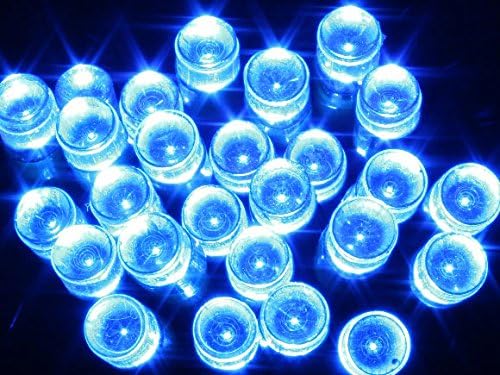 Blackberry Overseas Decorative LED Lights (25m, Blue)