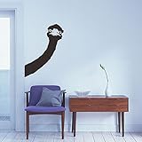 BIBITIME Long Neck Ostrich Wall Decal Animal Head Art Vinyl Sticker for Living Room porch Nursery Bedroom Kids Room Decor 16.92