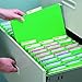 Smead FasTab Hanging File Folder, 1/3-Cut Built-in Tab, Letter Size, Green, 20 per Box (64098) (Pack of 1)