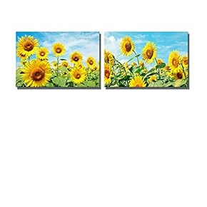 Canvas Prints Wall Art - Sunflower Field Under Blue Sunny Sky | Modern Wall Decor/Home Decoration Stretched Gallery Canvas Wrap Giclee Print & Ready to Hang - 16"x24" x 2 Panels