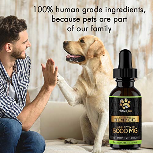 Billion Pets Hemp Oil Dogs Cats 5000mg Separation Anxiety, Joint