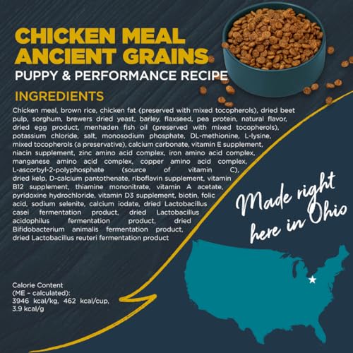 BLACKWOOD PUPPY & PERFORMANCE DRY DOG FOOD, CHICKEN MEAL WITH ANCIENT GRAINS, 4.5 POUND BAG FOR GROWING & WORKING DOGS, SUPPORTS ACTIVE LIFESTYLE
