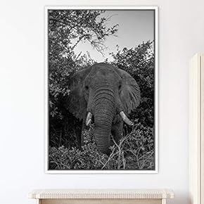 signwin Framed Canvas Wall Art Duotone Elephants Animals...