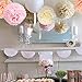 25PCS Tissue Paper Pom Poms Pink Paper Flowers DIY Paper Craft Decorations for Baby Shower Party Decorations, Birthday Party, Wedding Decor, Valentines Day, Bridal Shower Decorations-Pink Mix