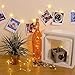 EZDC 20 LED Photo Clip String Lights, Fairy Lights with Clips, Lights with Clips for Pictures, Polaroid Lights with Clips for Bedroom & Dorm Room Decoration