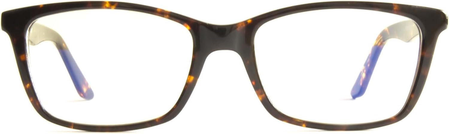 magnetic frame reading glasses
