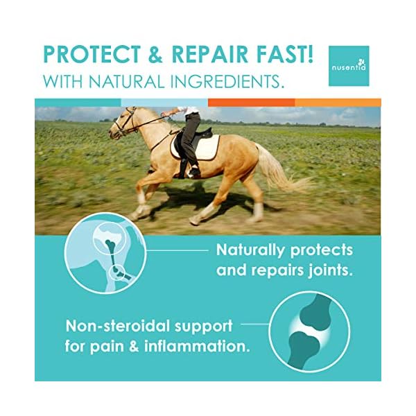 Horse Joint Supplement New Larger Size (1 GAL) Equine Glucosamine Chondroitin & MSM for