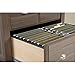 Sauder Shoal Creek File Cabinet, Diamond Ash finish