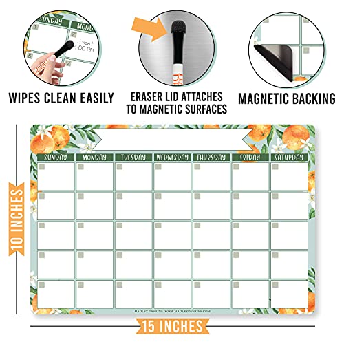 Dry Erase Calendar for Fridge Clementine Fridge