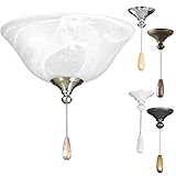 Progress Lighting 2-Light Ceiling Fan Light Kit for