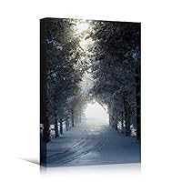 Canvas Wall Art Winter Trees Cool Dramatic Forest Multicolor Nature Photography Rustic - 12x18 inches