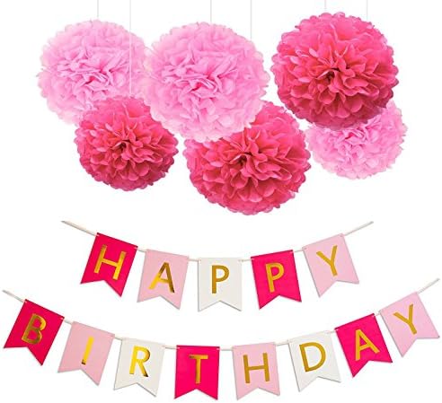 JUCOX Happy Birthday Banner Tissue Paper Pom Poms Flower for Birthday Party Decorations