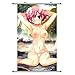 A Wide Variety of Grisaia no Kajitsu Anime Characters Wall Scroll Hanging Decor (komine Sachi 2)