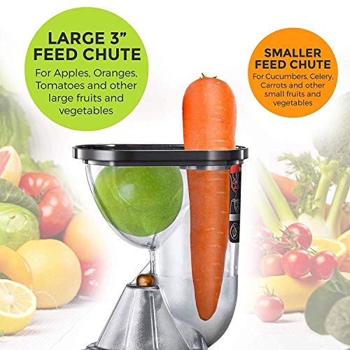 Mueller Austria Ultra Juicer Machine Extractor with Slow Cold Press