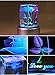 LIWUYOU Colorful Rose 3D Crystal Music Box I Love You Romantic, Bluetooth Base