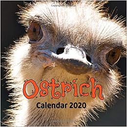 Ostrich Calendar 2020 : calendar, Moon Phase, Huggs, Hope: Amazon.co.uk Ostrich Calendar 2020 : calendar, Moon Phase, Huggs, Hope: Amazon.co.uk