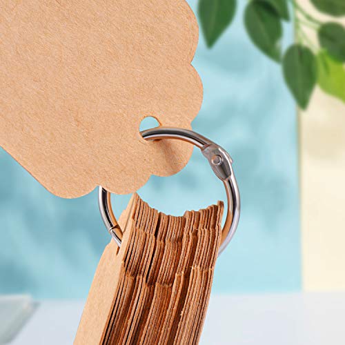 Zannaki 2 Inch (25 Pack) Loose Leaf Binder Rings, Nickel Plated Steel