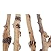 emours Reptile Décor Natural Forest Branch Terrarium Wood Aquarium Ornament, 4 Pack
