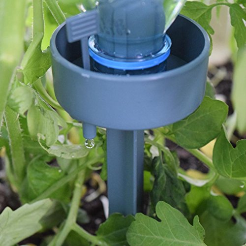 NEW Adjustable Flow Rate Automatic Plant Drip Watering Bottle Spikes