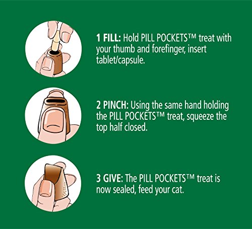 FELINE GREENIES Pill Pockets Cat Treats Salmon Flavor, 3 Ounce Value Size Bag