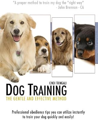 labrador x kelpie puppies for sale