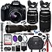 Canon EOS Rebel T6 DSLR Camera with 18-55mm is II Lens Bundle + Canon EF 75-300mm f/4-5.6 III Lens and 500mm Preset Lens + 32GB Memory + Filters + Monopod + Spider Tripod + Professional Bundle primary