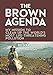 The Brown Agenda: My Mission to Clean Up the World's Most Life-Threatening Pollution by Richard Fuller, Damon DiMarco