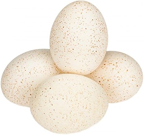 Amazon De Nadeco Truthahneier Natur 12 Stuck Truthahn Ei Truthahnei Truthahn Eier Putenei Puteneier