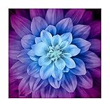 Hoffman Digital Dream Big Flower 43in Panel Aurora Fabric