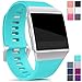 Hotodeal For Fitbit Ionic Bands Waterproof, Replacement Sport Strap Accessory Wristbands for Ionic Fitbit Smartwatch, 13 Classic Colors, Teal, Large