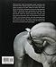 The Majesty of the Horse: An Illustrated History