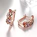 Girls' Women’s Stylish Jewelry U Shape AAA Zirconia Crystals Leverback Pierced Earrings
