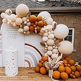 Double Stuffed Orange Cream Peach Apricot Balloons
