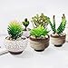 Artificial Succulent Plants 10 PCS, Unpotted Faux Assorted Succulent Plants Fake Cactus String of Pearls Succulent, Create Realistic Succulent Arrangements,Great Decor Accent for Home & Office