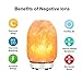 PULNDA Himalayan Salt Lamp Hand Carved Natural Pink Crystal Rock Salt Lamps with Premium Metal Base/Bulb(Himalayan salt&8-9inch),Dimmer Control,UL-Listed Cord&Wire