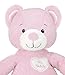 Kids Preferred Healthy Baby, Asthma and Allergy My Teddy Bear - Pink