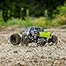 ECX AMP MT 1:10 2WD Monster Truck: Black/Green RTR