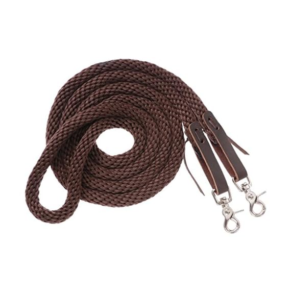 Royal-King-Poly-Roping-Rein-Rainbow