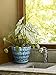 Southern Patio Mayer Ceramic Planter CRM-047117 Seafoam Green 12