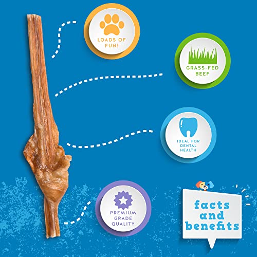 Jack&Pup Bully Sticks for Small Dogs 6 Inch Junior Bully Stick Dog Chew (30 Pack) 6” Long