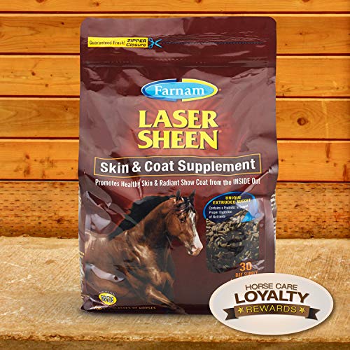 Top 10 Horse Supplements For Shiny Coat of 2020 No Place Called Home