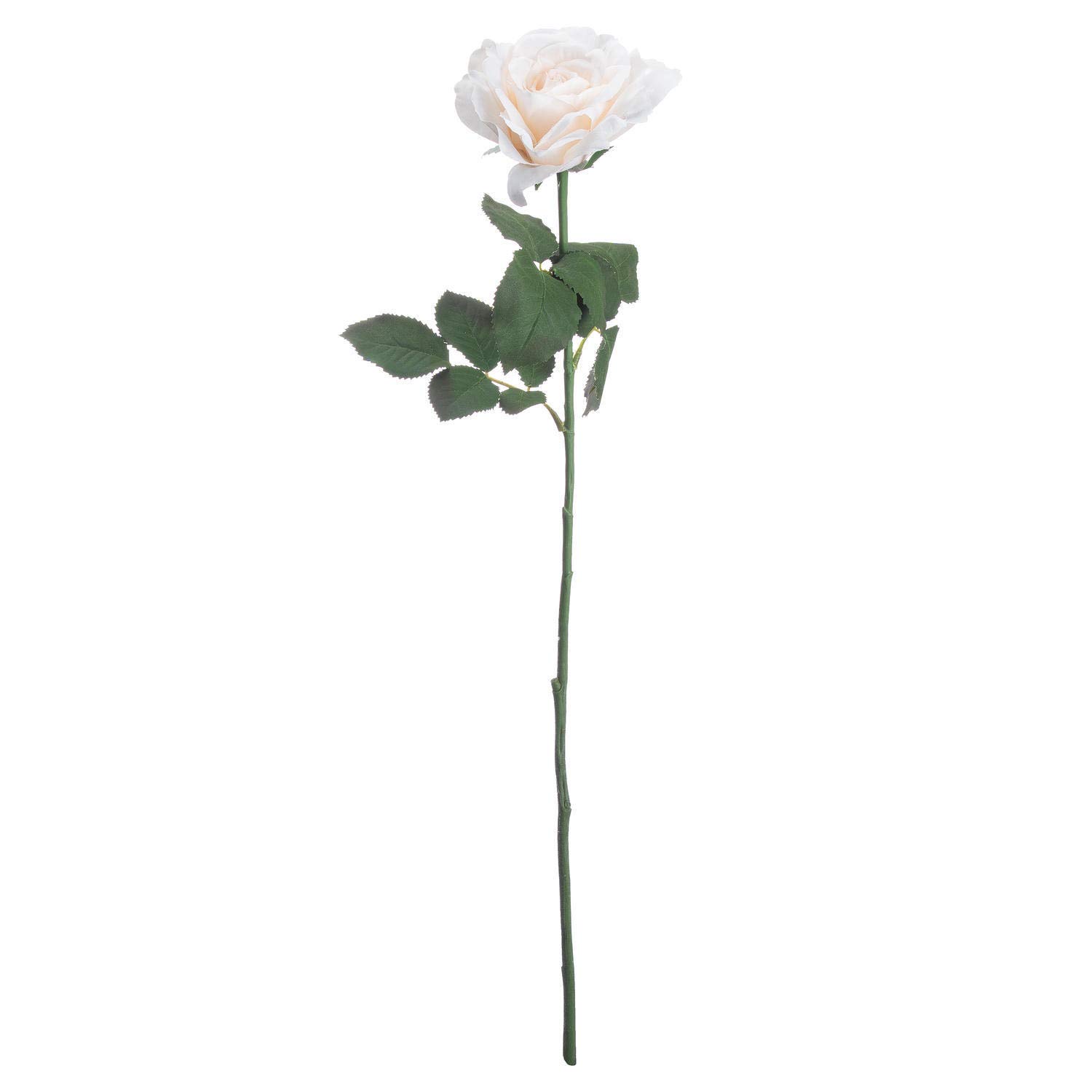 The Recipe Large White Garden Rose