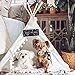 little dove Pet Teepee House Fold Away Pet Tent Furniture Cat Bed with Cushion 28 Inch White Pompomthumb 1