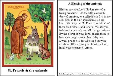 St. Francis Blessing of the Animals Prayers Cards Set of 100
