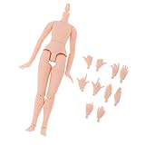 CUTICATE 1/6 BJD Doll Body and Movable Hands, Great