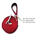 Dog Leash for Medium, Large and Small Dogs - 6 Foot Dog Leashes for Training and Daily Walks - Durable Sizes in Lightweight and Heavy Duty for Small and Large Breeds (2-Layer Reflective, Red)