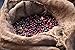 Brazil Cerrado 100% Arabica - Natural 17/18 Screen Coffee Beans (Medium Roast (Full City +), 2.5 pounds Whole Beans)