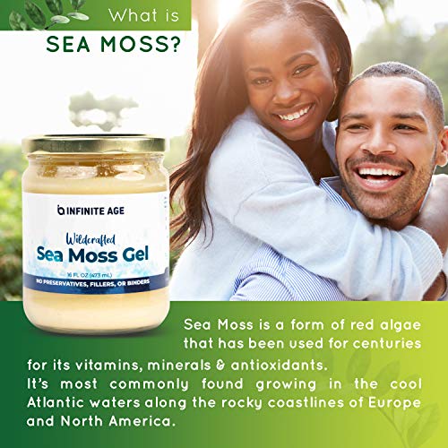 Infinite Age Organic Irish Sea Moss Gel, 16 Oz Irish Sea Moss Organic