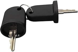 Drive-up Ignition Key Switch W/2 Keys for EZGO Electric RXV 2008-Up OEM 605637 605946 609680 (Set of 2 Keys)