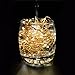 LED Copper Wire Lights 99ft/30m 300 LED Light String Dimmable with Remote Control Waterproof Starry Lights for DIY Bedroom Outdoor, Garden, Party, Wedding, Patio, Fairy Tale (Warm White)